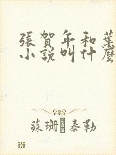 张贺年和叶繁姿小说叫什么名字