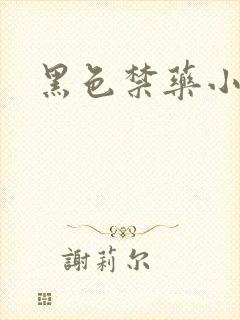 黑色禁药小说