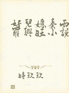 好儿媳秦雨罗明罗兴旺小说