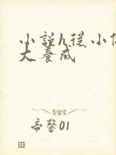 小说h从小做到大养成