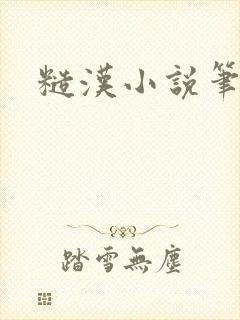 糙汉小说笔趣阁