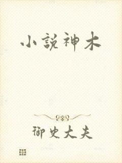 小说神木
