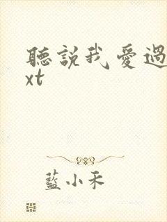 听说我爱过你txt