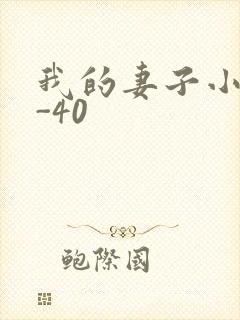我的妻子小谨1-40
