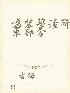 伪装学渣所有开车部分