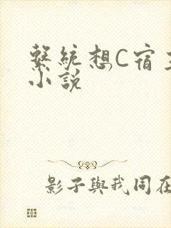 系统想C宿主的小说