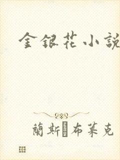 金银花小说乐可