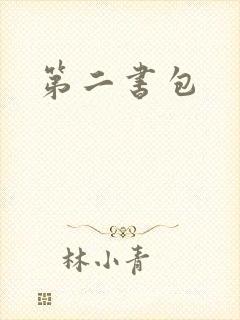 第二书包