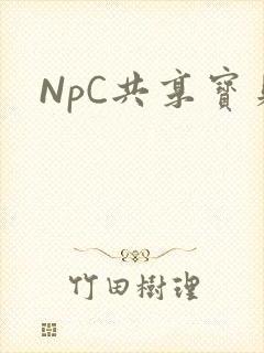 NpC共享宝贝