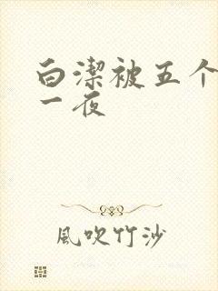 白洁被五个人玩一夜
