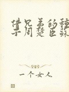 借兄弟的种生孩子周楚臣苏糖