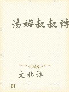 汤姆叔叔转接口