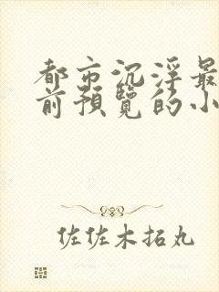 都市沉浮最快超前预览的小说3030