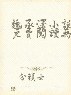 魏承泽小说全文免费阅读无弹窗笔趣