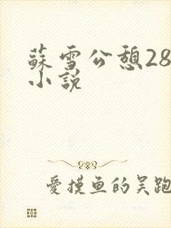 苏雪公憩28篇小说