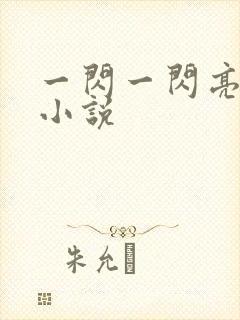 一闪一闪亮星星小说