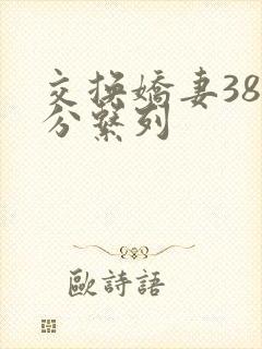 交换娇妻38部分系列