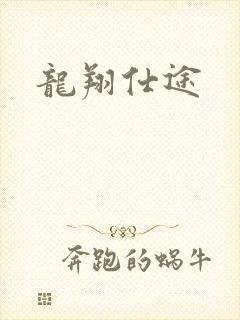 龙翔仕途