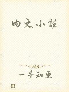 肉文小说