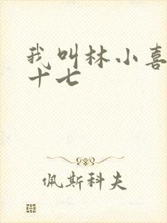 我叫林小喜今年十七