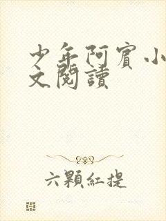 少年阿宾小说全文阅读