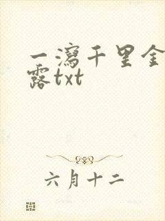 一泻千里金银花露txt