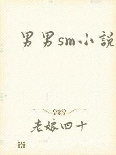 男男sm小说