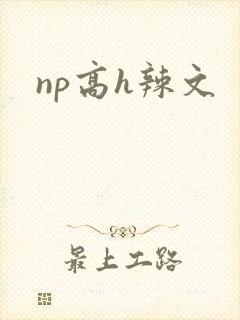 np高h辣文