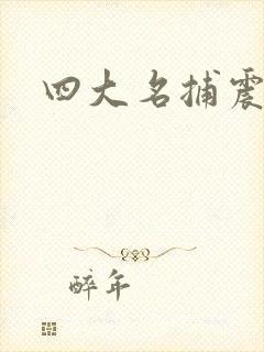 四大名捕震关东