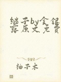 继子by金银花露原文免费阅读