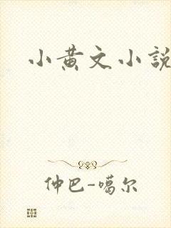小黄文小说