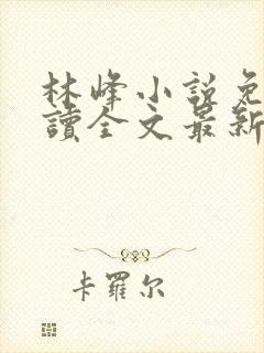 林峰小说免费阅读全文最新章节