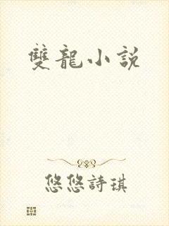 双龙小说