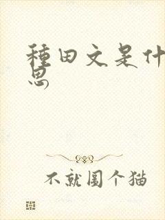 种田文是什么意思