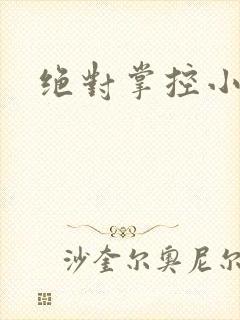 绝对掌控小说