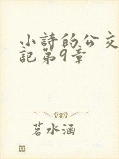 小诗的公交车日记第9章