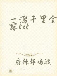 一泻千里金银花露txt