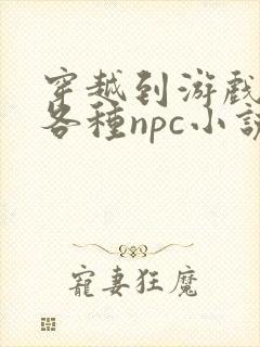 穿越到游戏里和各种npc小说