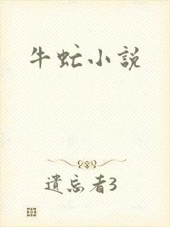 牛虻小说
