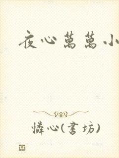 夜心万万小说