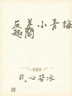 反差小青梅 笔趣阁