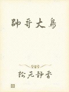帅哥大鸟