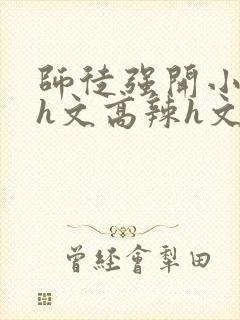 师徒强开小嫩苞h文高辣h文