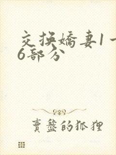 交换娇妻1一36部分