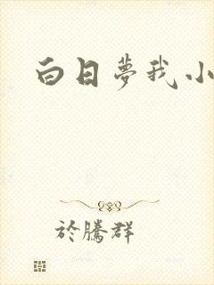 白日梦我小说