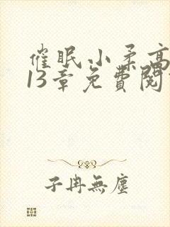 催眠小柔高达第13章免费阅读