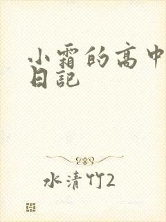 小霜的高中成长日记