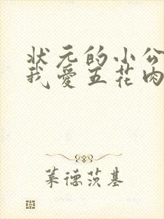状元的小公主(我爱五花肉)