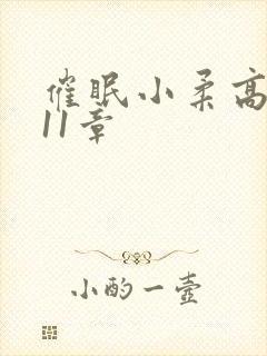 催眠小柔高达第11章