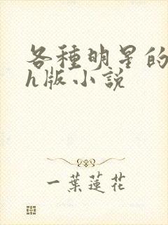 各种明星的综艺h版小说